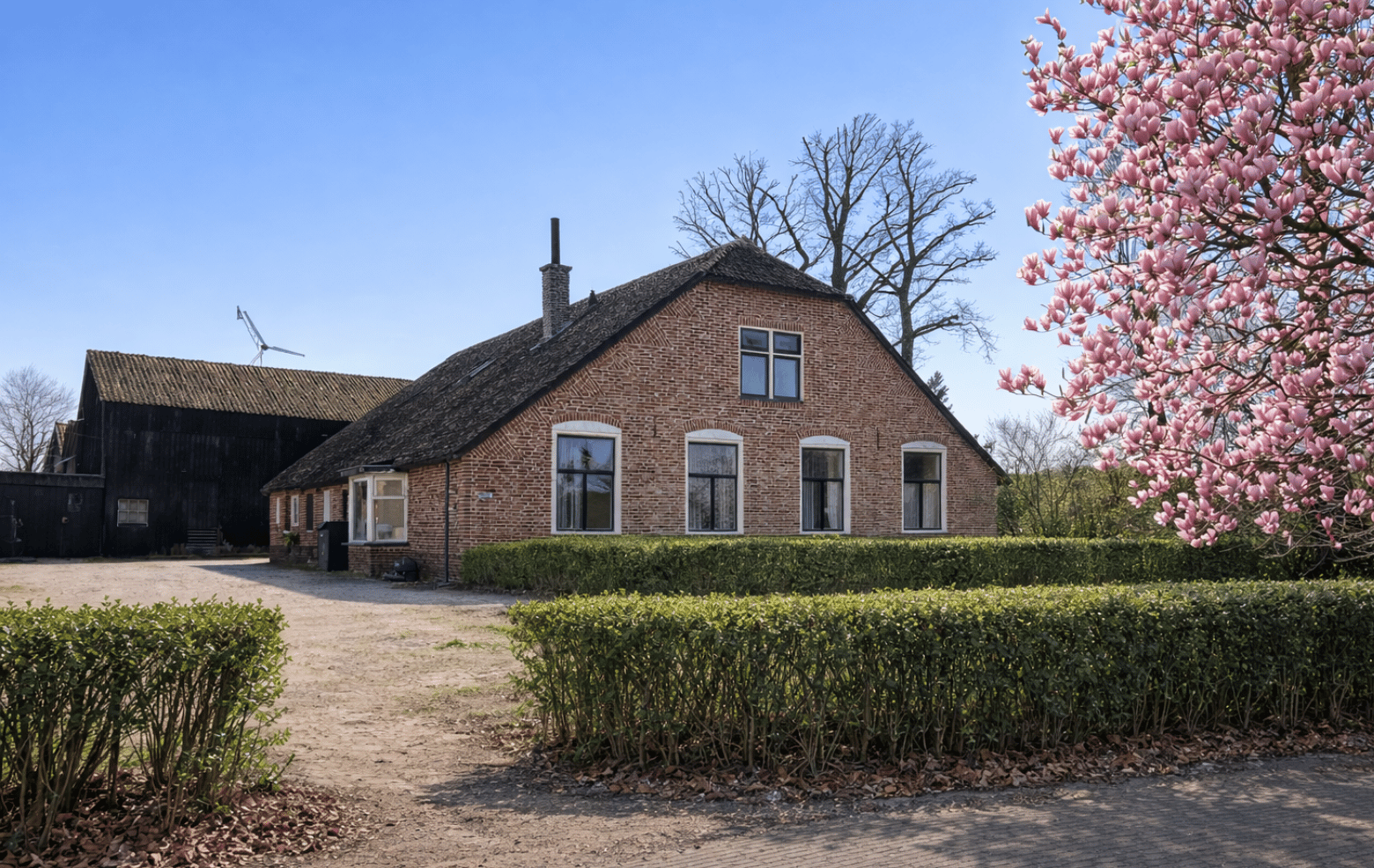 overdinkel gefund